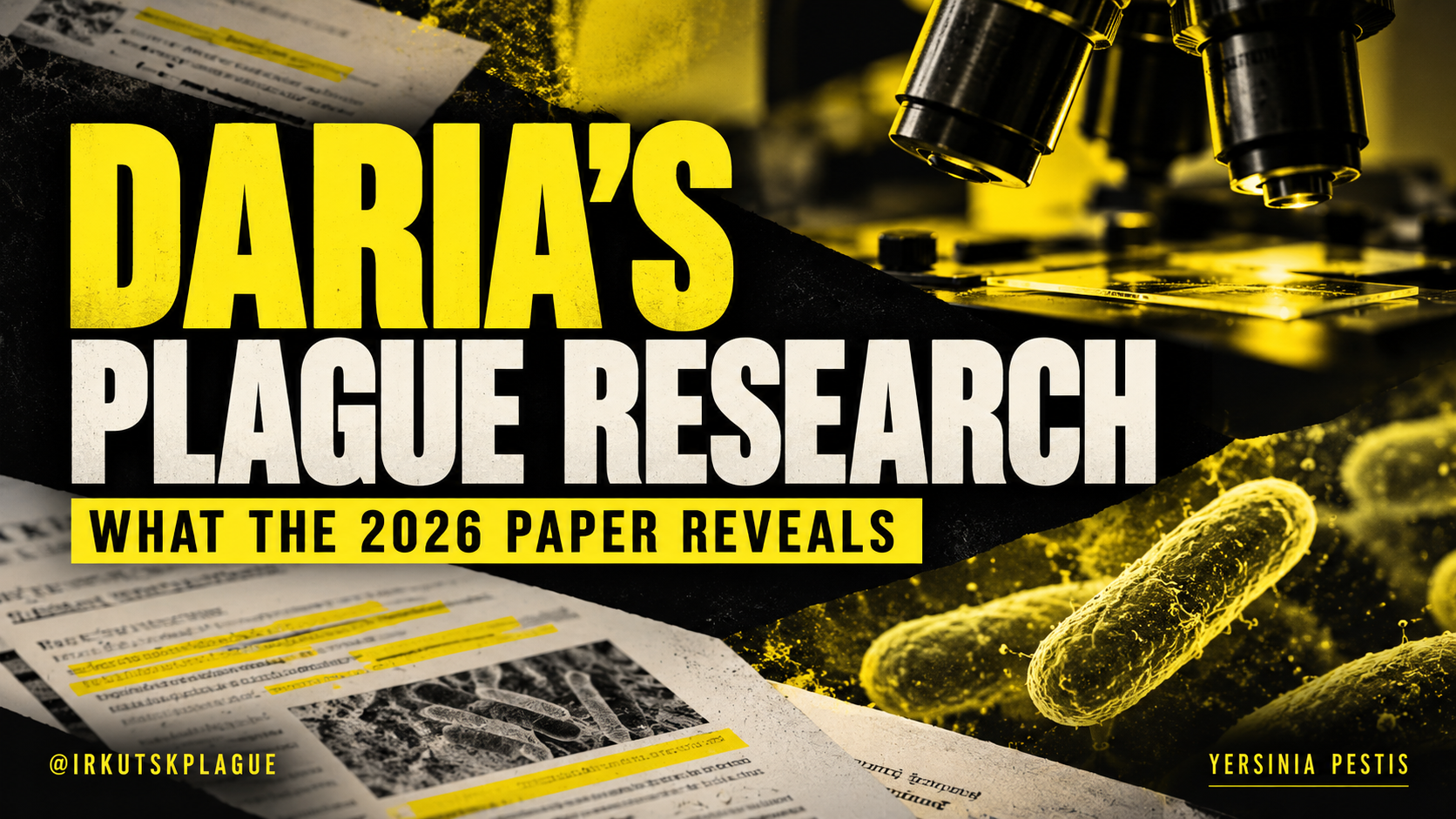 Yellow-and-black editorial illustration reading Daria’s Plague Research, with a microscope, abstract research papers and stylised bacteria.